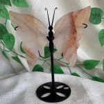 Crystal Butterfly Wing With Stand