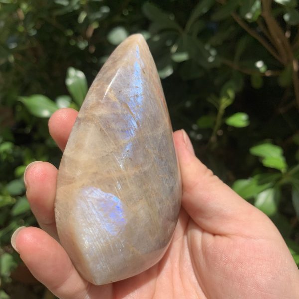 Flashy Moonstone Sunstone Point Freeform