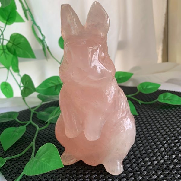 rose quartz rabbit (5)