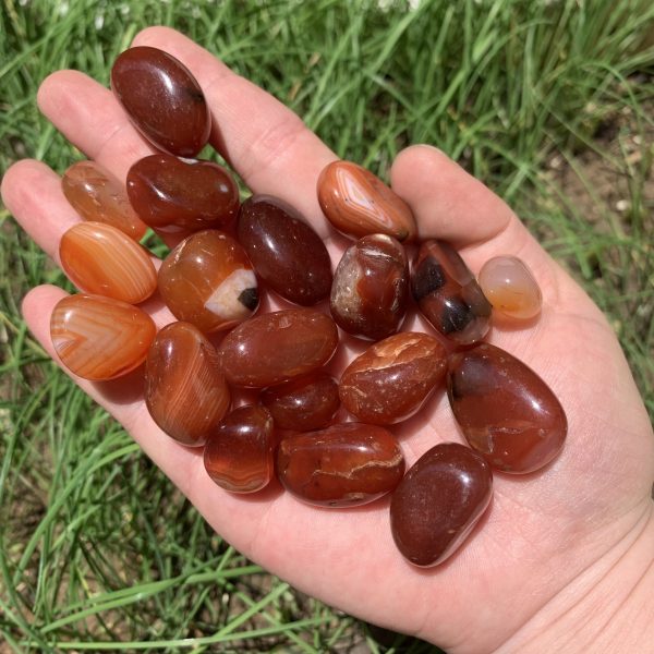 small carnelian tumbled stone 35 (1)