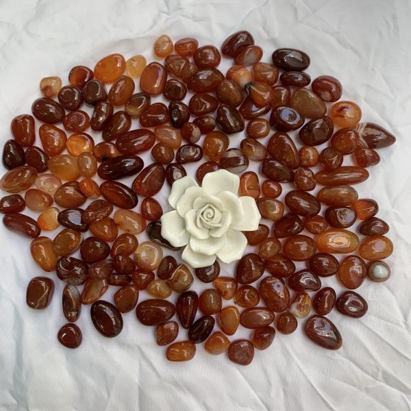 Carnelian Polished Stone Small Carnelian Tumbled Stone