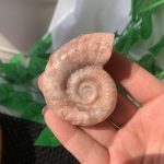 Agate Fossil Crystal Ammonite Carving Moss Agate Indian Agate Pink Agate