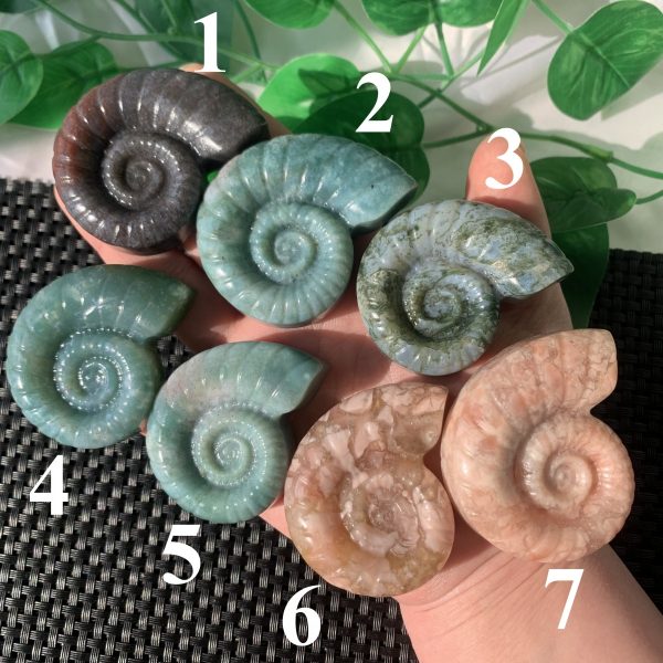 Agate Fossil Crystal Ammonite Carving Moss Agate Indian Agate Pink Agate