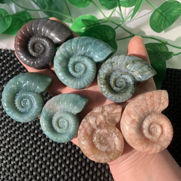 Agate Fossil Crystal Ammonite Carving Moss Agate Indian Agate Pink Agate