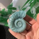 Agate Fossil Crystal Ammonite Carving Moss Agate Indian Agate Pink Agate