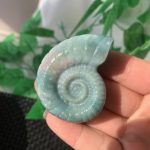 Agate Fossil Crystal Ammonite Carving Moss Agate Indian Agate Pink Agate