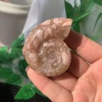 Agate Fossil Crystal Ammonite Carving Moss Agate Indian Agate Pink Agate