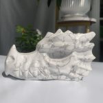 Howlite Dragon Head Carving Big Crystal Dragon Head 15cm