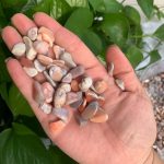 Pink Botswana Agate Gravel Polished Stone