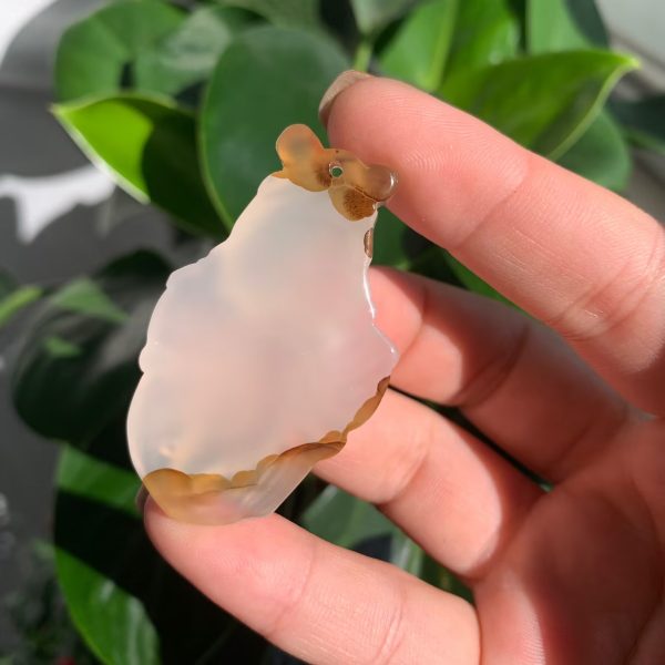 Ocean Agate Goldfish Pendant Agate Goldfish Necklace Free Shipping