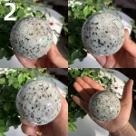 Kiwi Jasper Sphere Sesame Jasper Crystal Sphere Wholesale Free Shipping