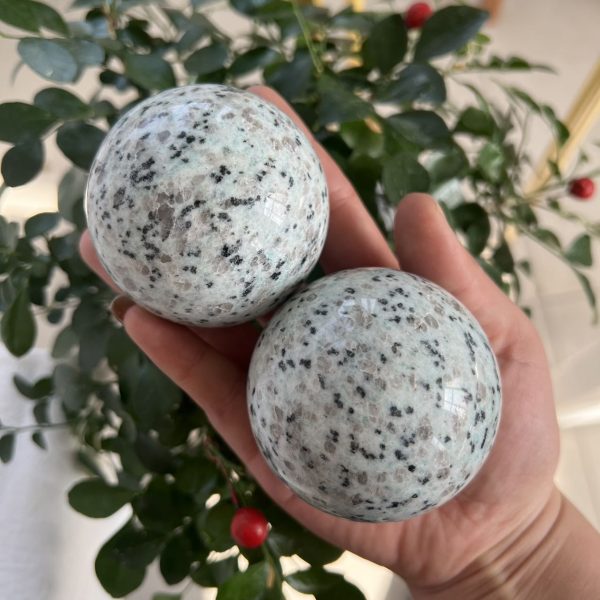 Kiwi Jasper Sphere Sesame Jasper Crystal Sphere Wholesale Free Shipping