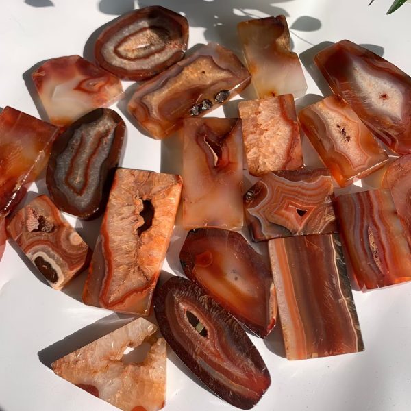 Red Agate Slab Carnelian Slice Freeform Free Shipping