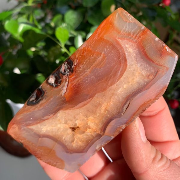 Red Agate Slab Carnelian Slice Freeform Free Shipping