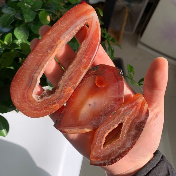 Red Agate Slab Carnelian Slice Freeform Free Shipping