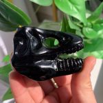 Crystal Dinosaur Head Pyrite Skull Free Shipping