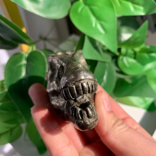 Crystal Dinosaur Head Pyrite Skull Free Shipping