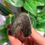 Crystal Dinosaur Head Pyrite Skull Free Shipping