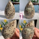 Rhyolite Green Flower Jasper Freeform Self-Standing