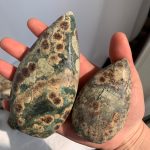 Rhyolite Green Flower Jasper Freeform Self-Standing