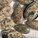 Rhyolite Green Flower Jasper Freeform Self-Standing