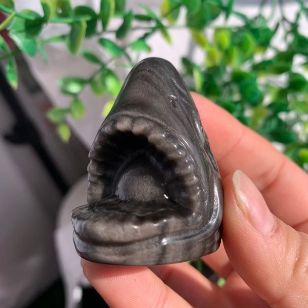 silver obsidian shark head (5)