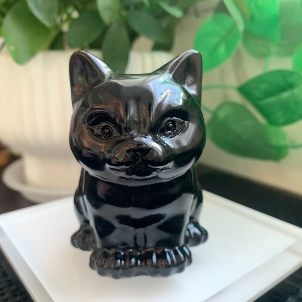 Crystal Cat Carving 72mm Obsidian Cat Animal Free Shipping