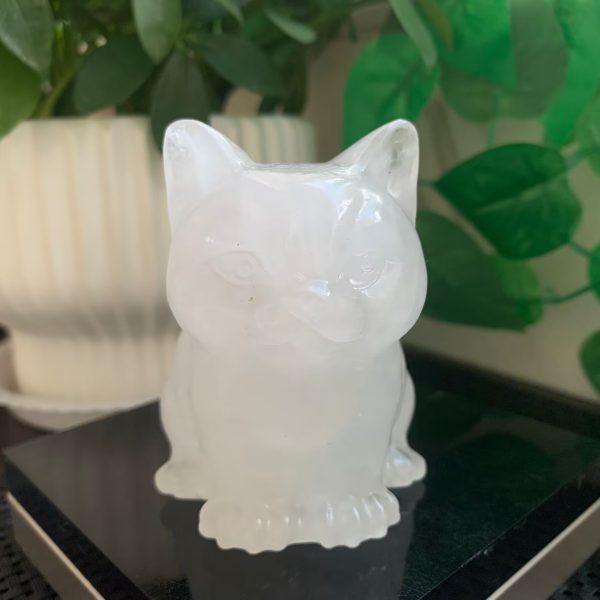 Crystal Cat Carving 72mm Obsidian Cat Animal Free Shipping