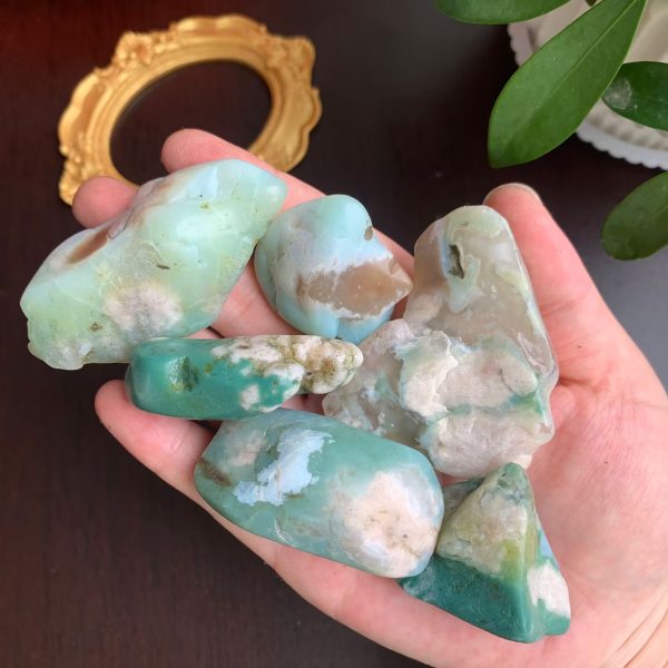 Green Sakura Agate Polished Stone Madagascar Green Flower Agate Freefrom Free Shipping