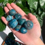 Blue Apatite Tumbled Stone 20-30mm Crystal Free Shipping