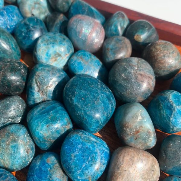 Blue Apatite Tumbled Stone 20-30mm Crystal Free Shipping